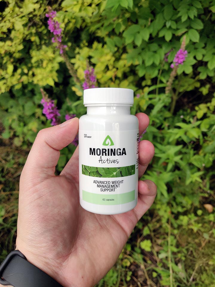 Moringa Actives 24 Moringa Actives AM13 |